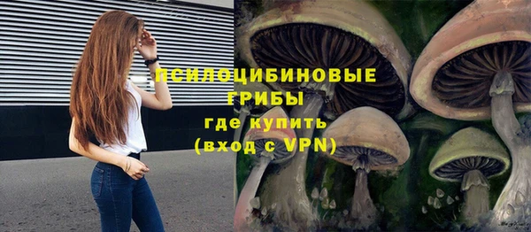 кристаллы Алзамай