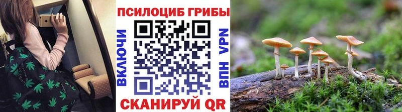 Галлюциногенные грибы Psilocybine cubensis  Пущино 